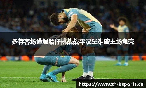k体育