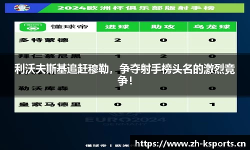k体育官网