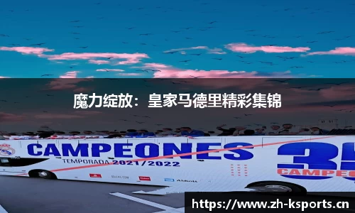 k体育官方网站