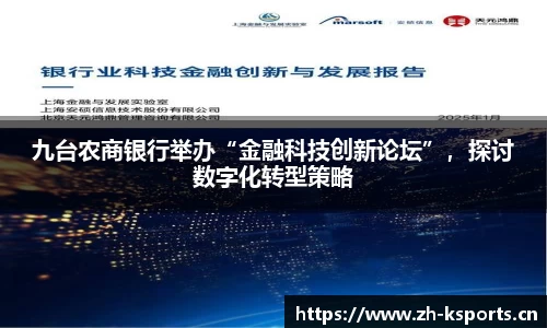 k体育官网