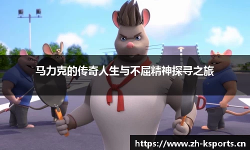 k体育平台